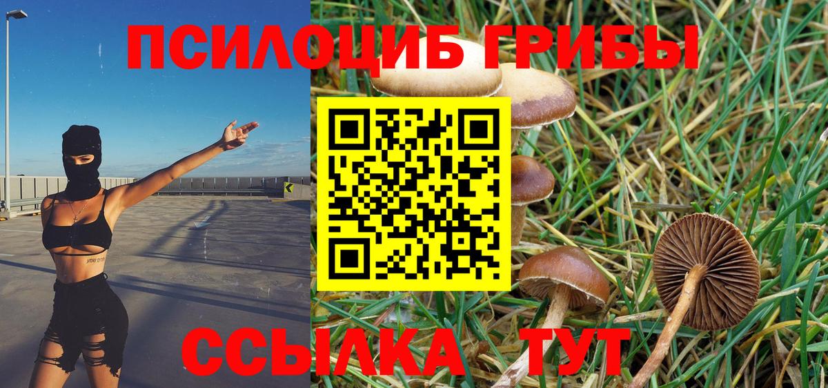 купить закладку  Вход с VPN  Малоярославец  Галлюциногенные грибы ЛСД 