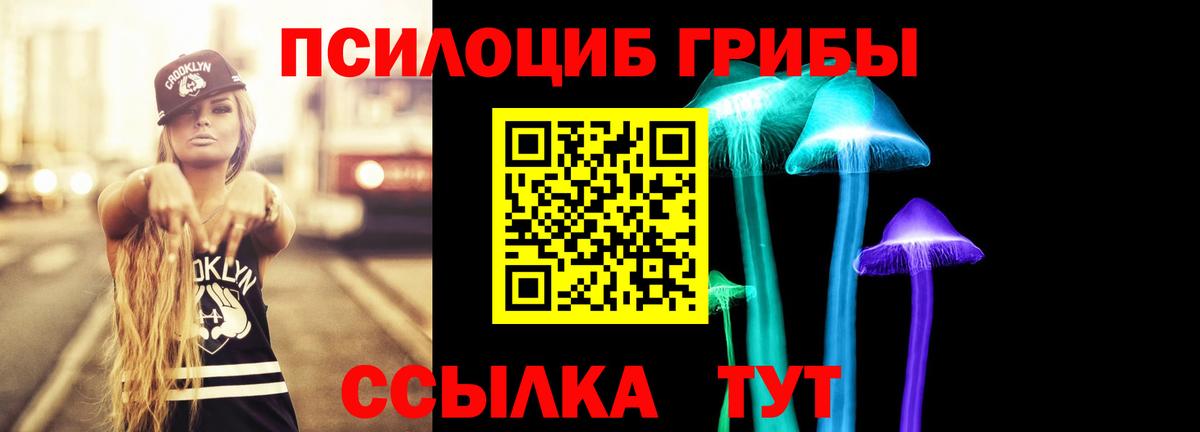 Галлюциногенные грибы Cubensis Малоярославец