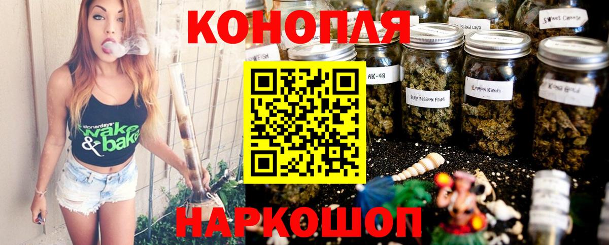 Бошки Шишки тримм Малоярославец